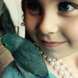 Meet your Posher, Debbie